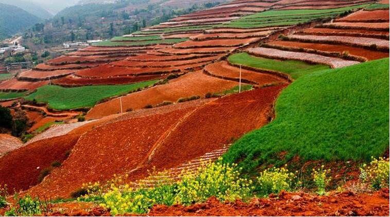 中國土壤幾病癥，該如何管理土壤？