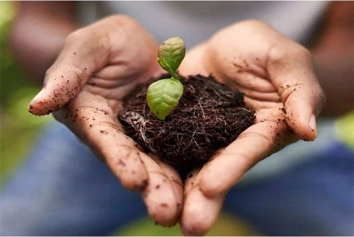 腐植酸修復(fù)土壤真那么神奇嗎？