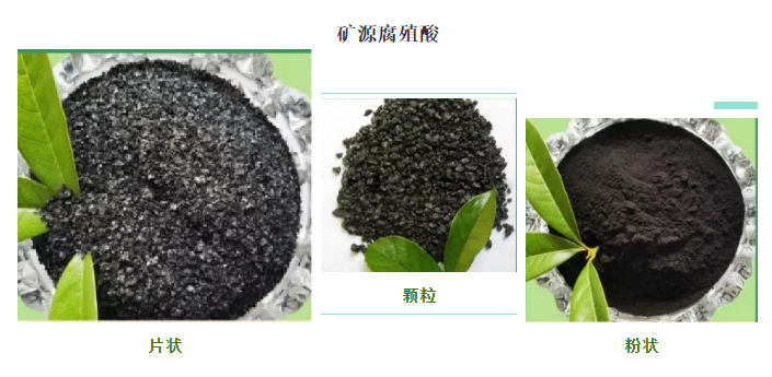 看過來！帶你了解司普沃赫蔓核心成分-礦源腐殖酸