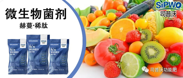 赫蔓微生物菌劑-分解毒素、改良土壤、調(diào)節(jié)生命活動、抑制土壤病菌