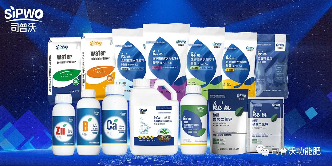 柑橘出現(xiàn)太陽果怎么辦！如何全面防灼防裂？