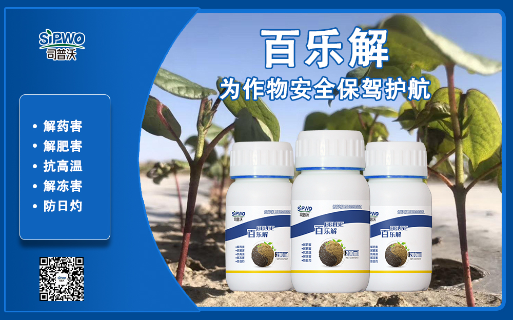 司普沃赫蔓百樂解，解凍害、解肥害、解藥害，棉花上再顯神威！