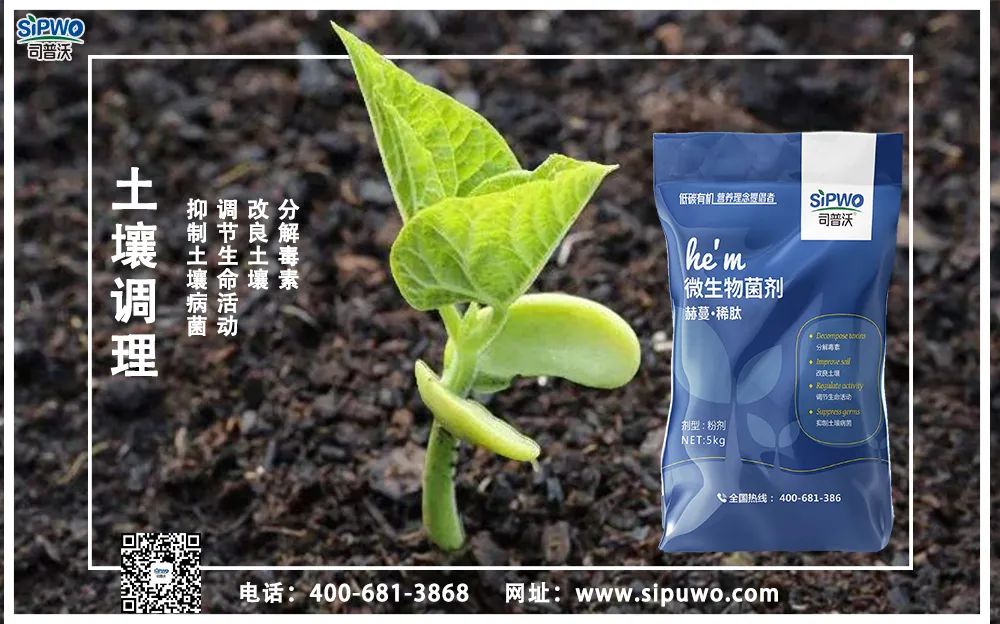 【農(nóng)技知識(shí)】土壤出問題了，肥料用再多也別想增產(chǎn)！