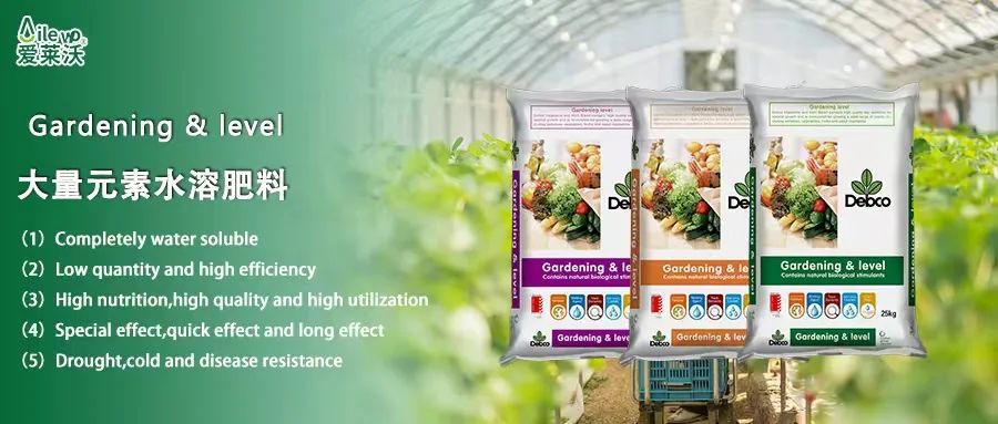 愛萊沃意大利原包進(jìn)口大量元素水溶肥料|世界品質(zhì)，火爆“炸市”