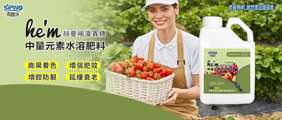 褐藻寡糖--中量元素水溶肥|膨果著色、增強(qiáng)肥效、增甜防裂、延緩衰老