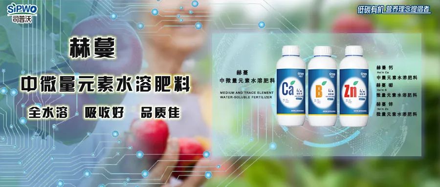 中微量元素鈣、硼、鋅|移動(dòng)快、吸收好、營養(yǎng)全、品質(zhì)佳