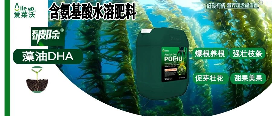 愛萊沃·破除藻油DHA|爆根養(yǎng)根、強(qiáng)壯枝條、促芽壯花、甜果美果