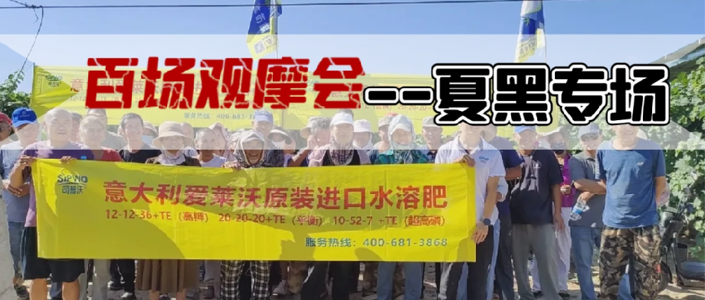 新疆博樂地區(qū)夏黑葡萄觀摩會圓滿成功，司普沃功能肥閃耀全場