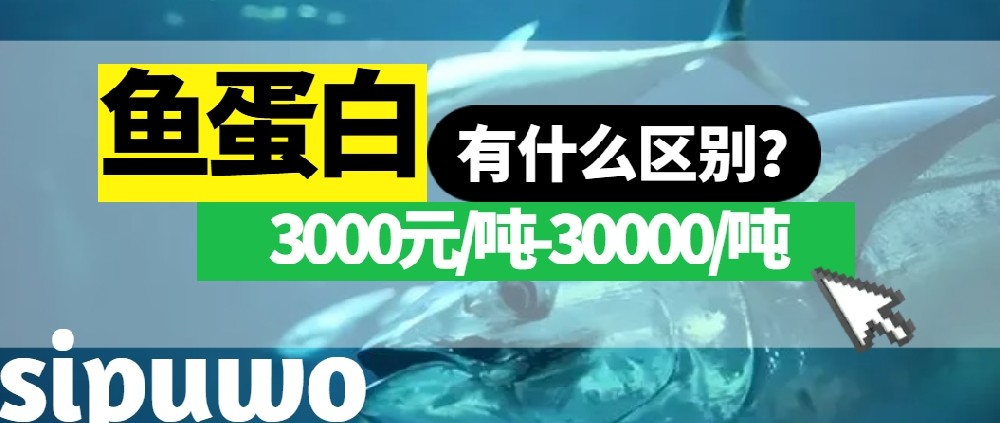 3000-30000元/噸的魚蛋白有多大差距？一篇文章告訴你！