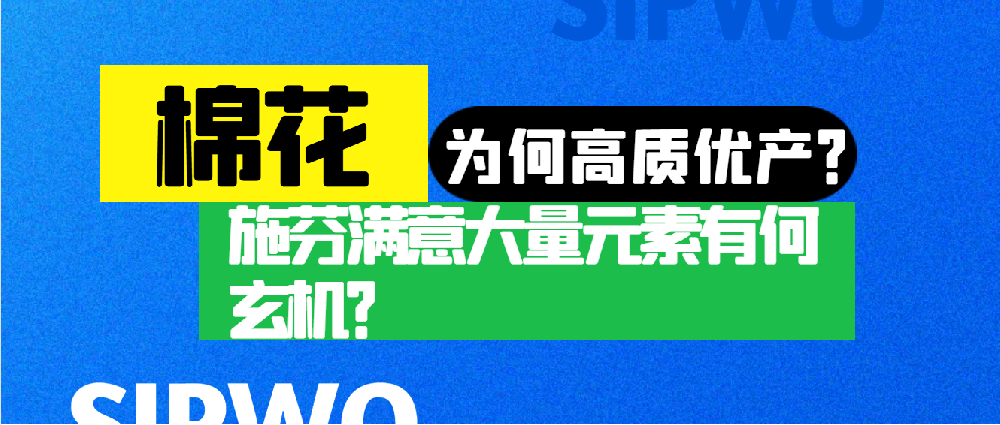 棉花憑啥高產(chǎn)優(yōu)質(zhì)？施芬滿意大量元素有何玄機？